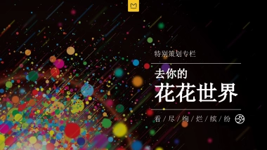 花花世界栏目介绍