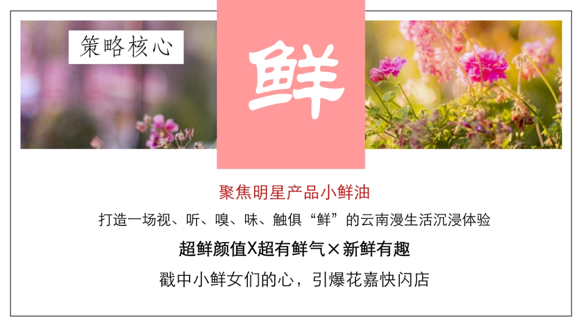 花嘉小鲜油快闪店区域打造方案_第2页