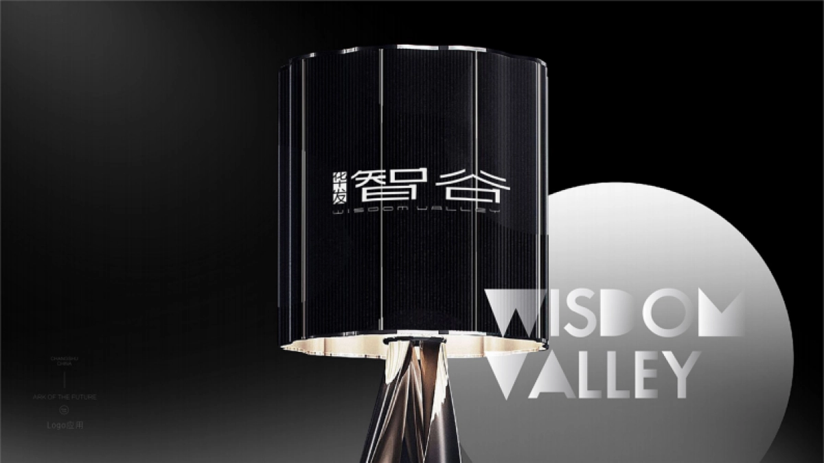 华发智谷 城市综合体-写字楼办公策略提报_第2页