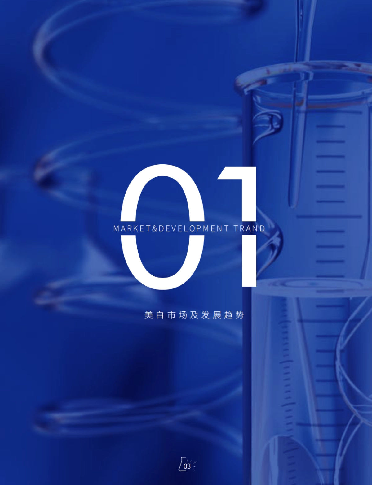 肌肤未来：美白白皮书_第5页