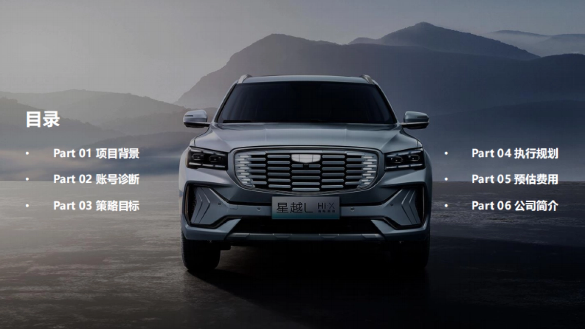 吉利网红经销商培育计划_第2页