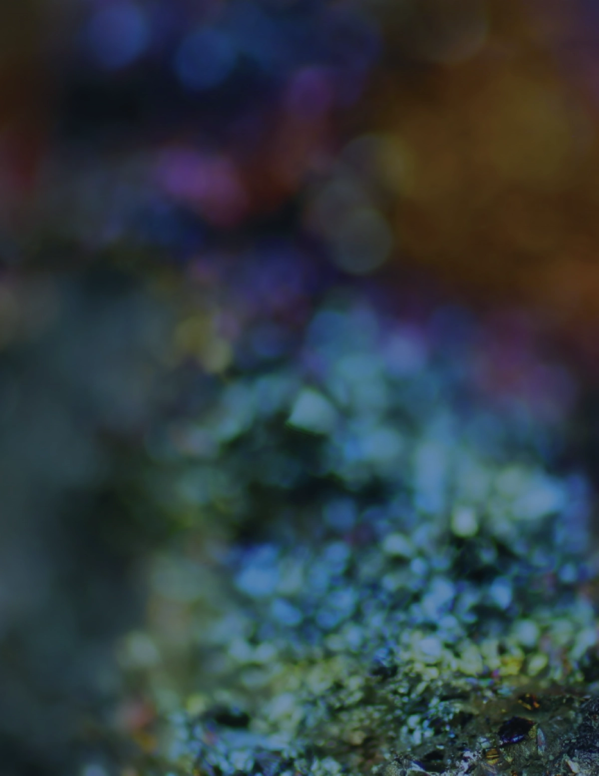 加强美国关键矿产供应链的多维战略（英）-威尔逊中心-28页_第2页