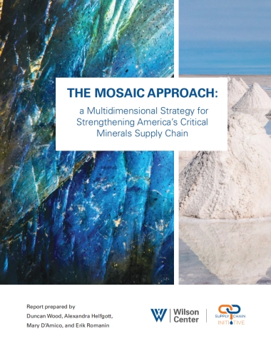 加强美国关键矿产供应链的多维战略（英）-威尔逊中心-28页