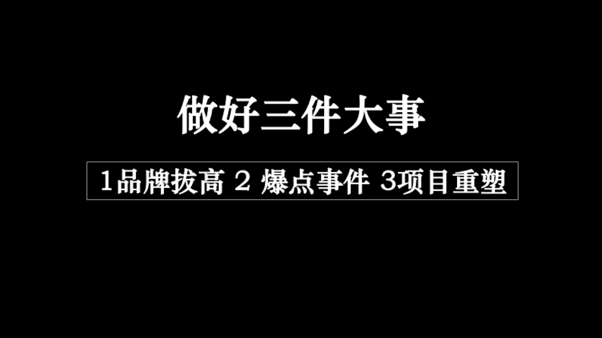 金茂府 唐皇 年度推广报告_第3页