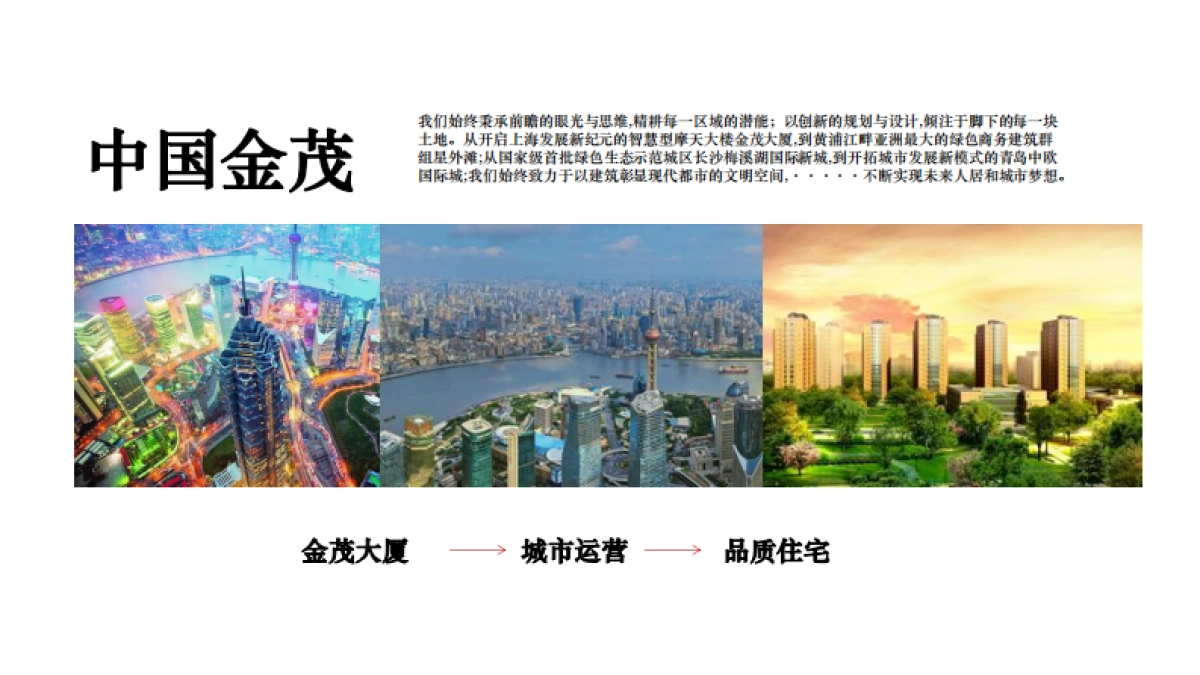 金茂府 唐皇 年度推广报告_第6页