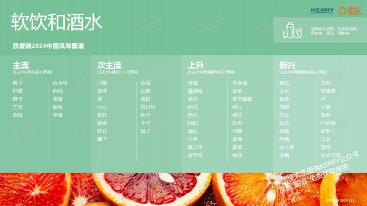 凯爱瑞&Innova市场洞察：2024中国风味图谱_第8页