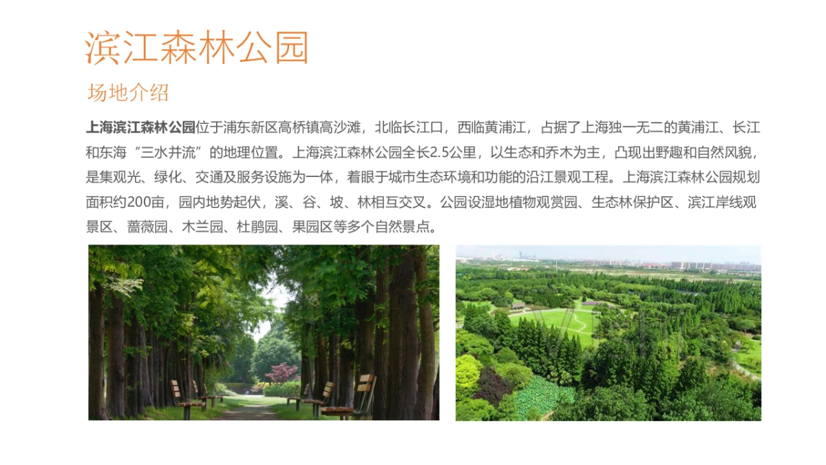 看见童梦,陪伴童行盲童趣味运动会_第7页