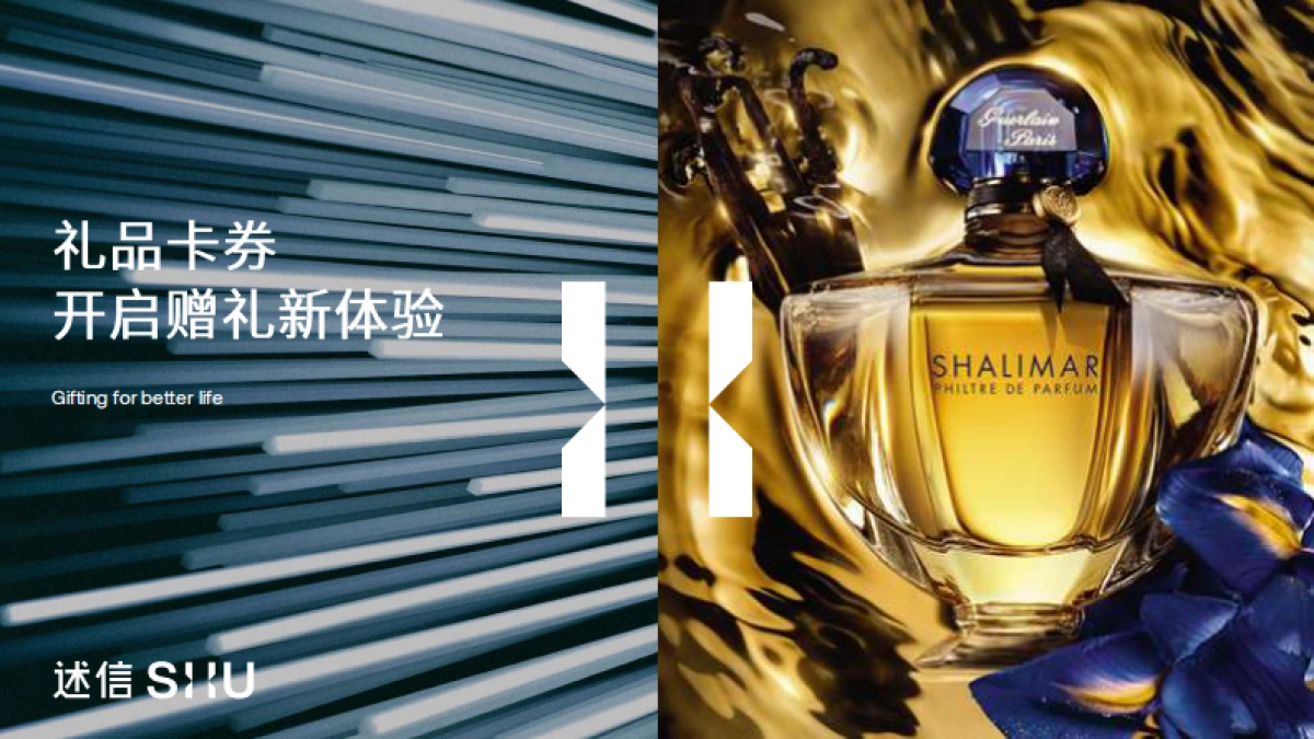 礼品卡LVMH Gift Card Proposal for brand_第10页