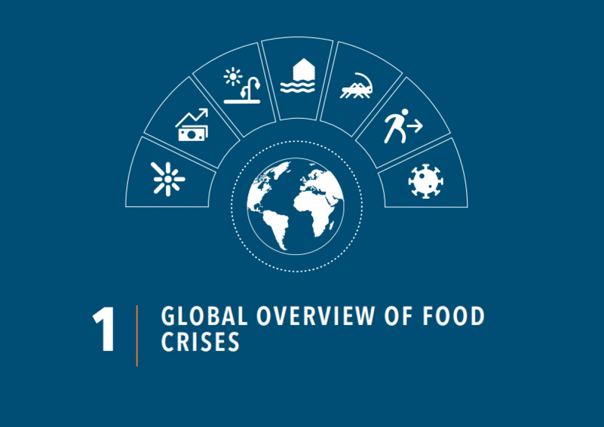 联合国：2021年全球粮食危机报告_第10页