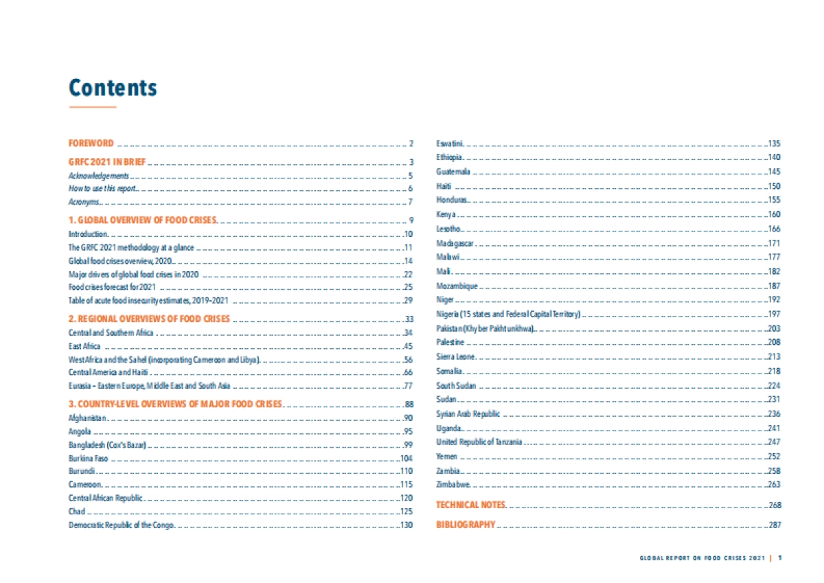 联合国：2021年全球粮食危机报告_第2页