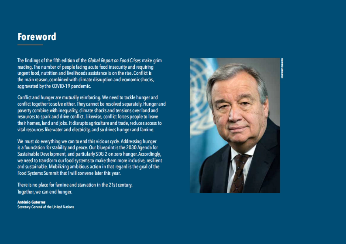 联合国：2021年全球粮食危机报告_第3页