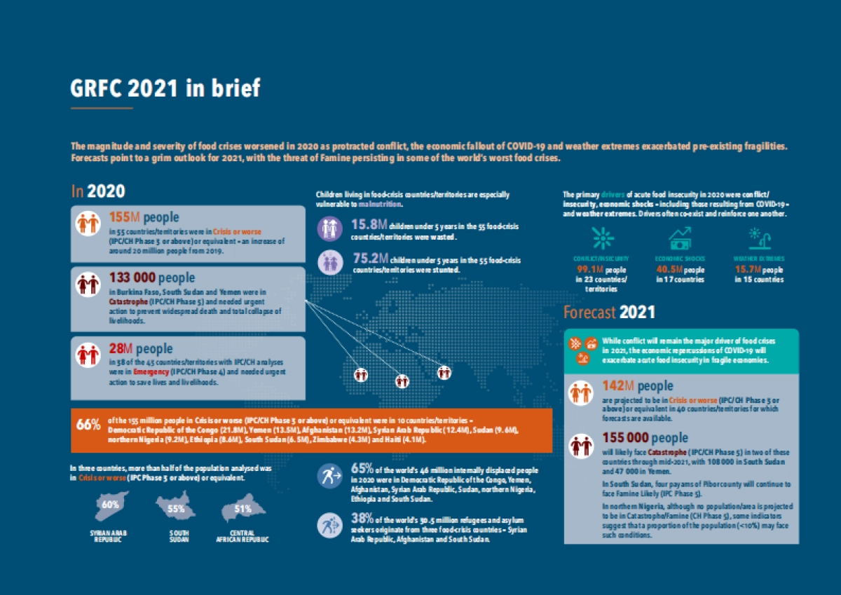 联合国：2021年全球粮食危机报告_第4页