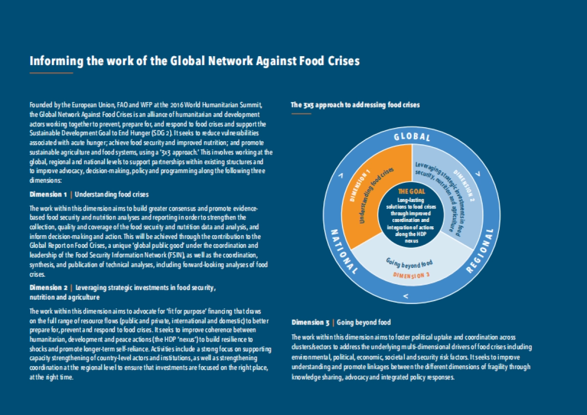 联合国：2021年全球粮食危机报告_第5页