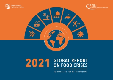 联合国：2021年全球粮食危机报告