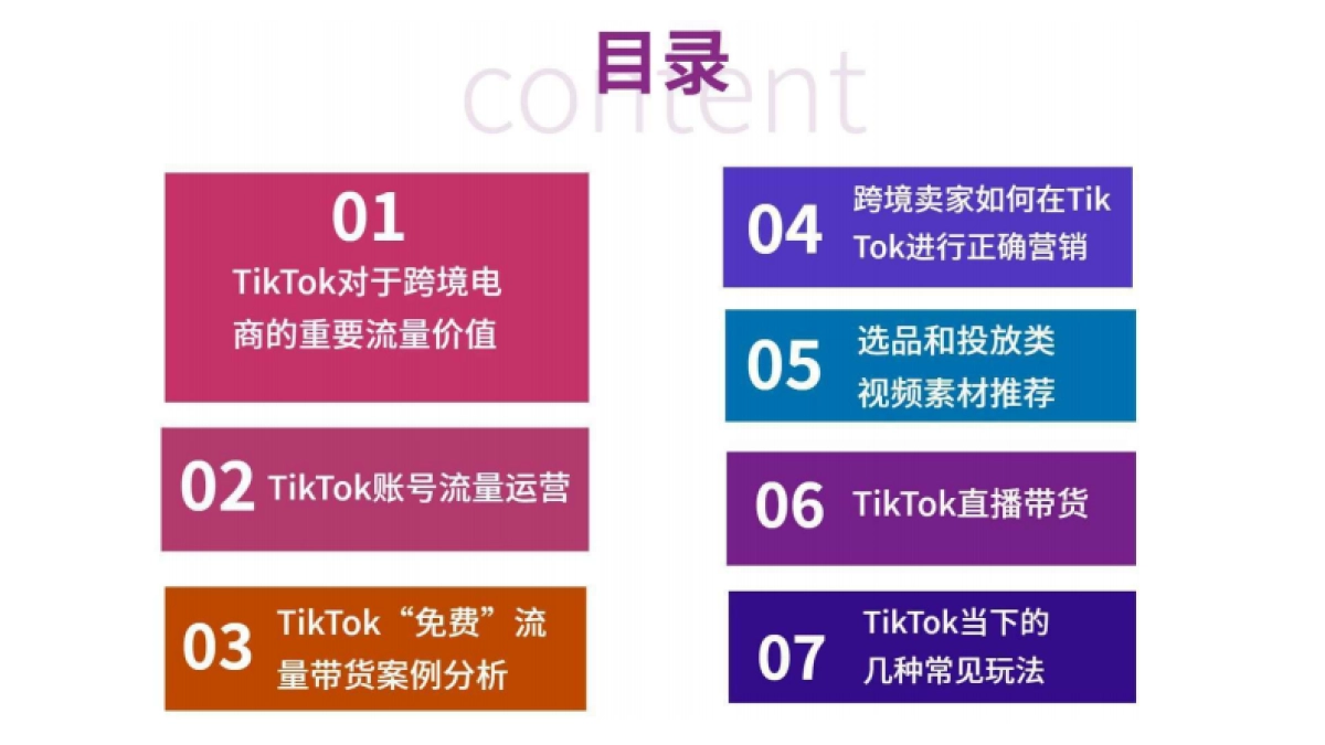 流量红利:TikTok变现方式全解析-108P_第2页