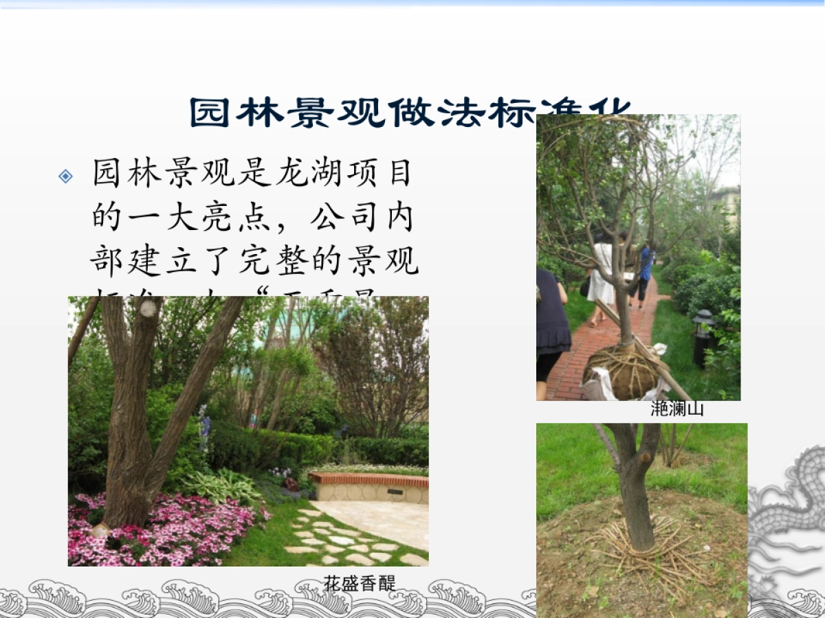 龙湖标准化考察报告_第9页