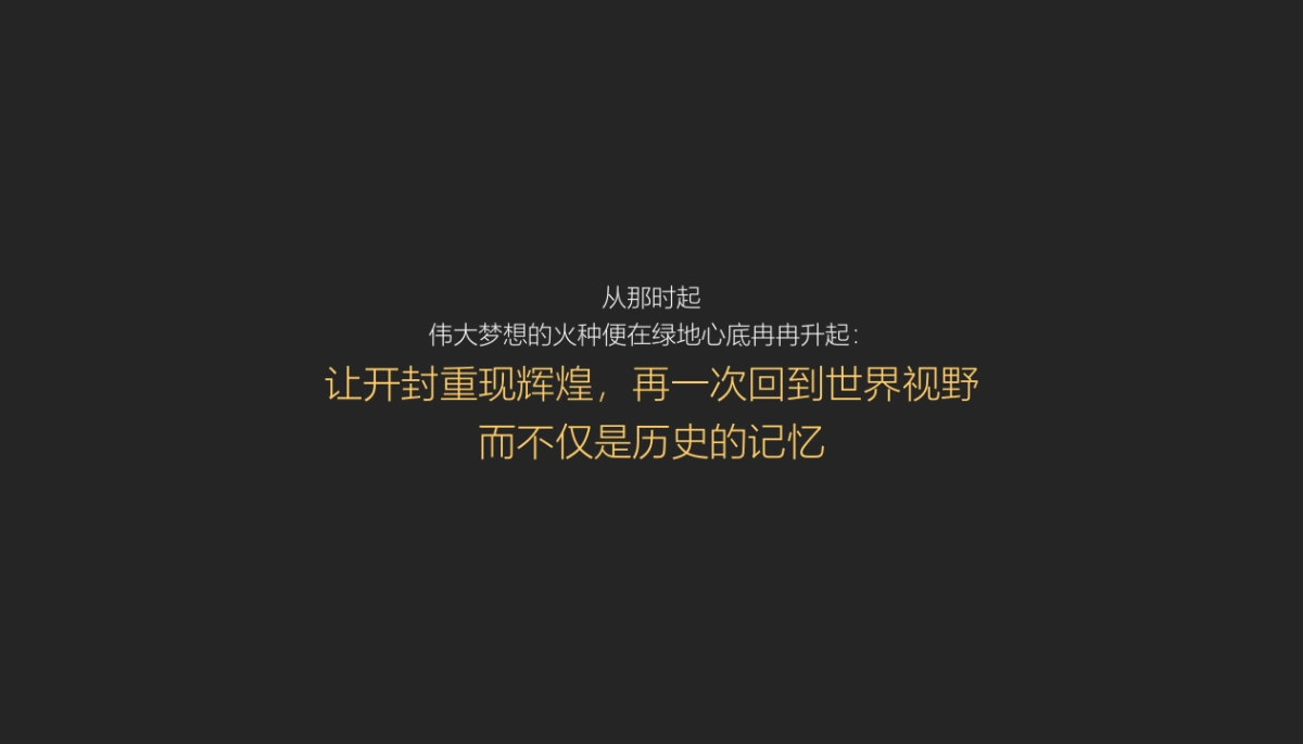 绿地开封盛京府提报策略_第6页