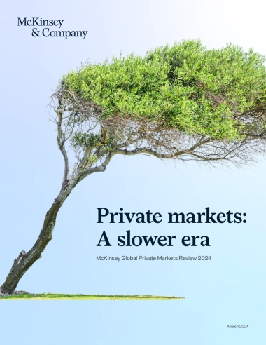 麦肯锡-麦肯锡全球私人市场评论2024：慢时代的私人市场（英）