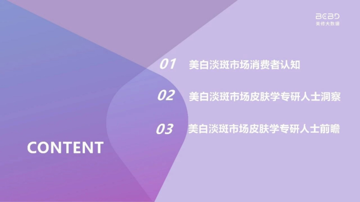 美丽修行:美白淡斑市场新洞察-皮肤学专研人士深度解读(2023)_第2页