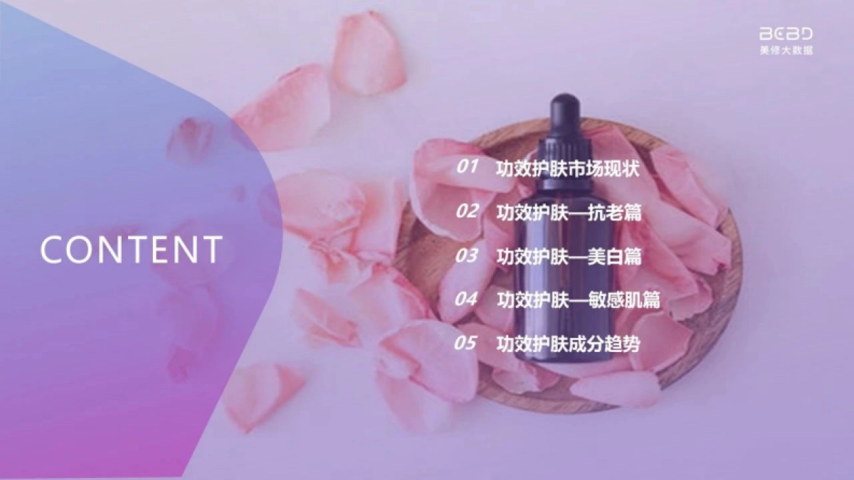 美丽修行-2023年功效护肤市场新洞察_第2页