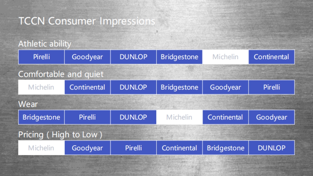 米奇林轮胎 Michelin Social Solution Proposal_第8页