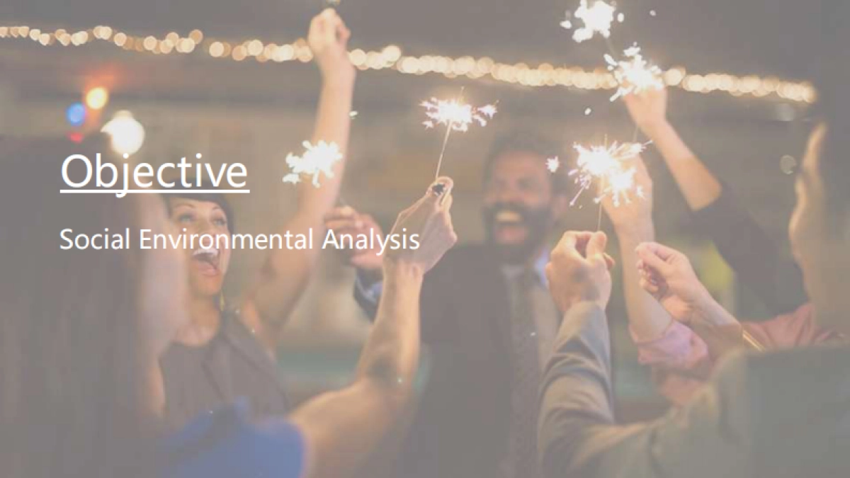 米奇林轮胎 Michelin Social Solution Proposal_第9页