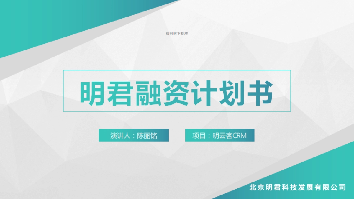 明君融资计划书_第1页