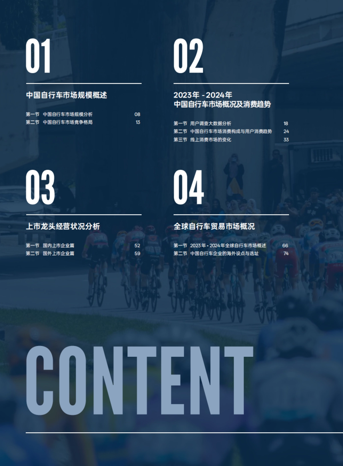 2024年中国自行车行业调查报告_第6页