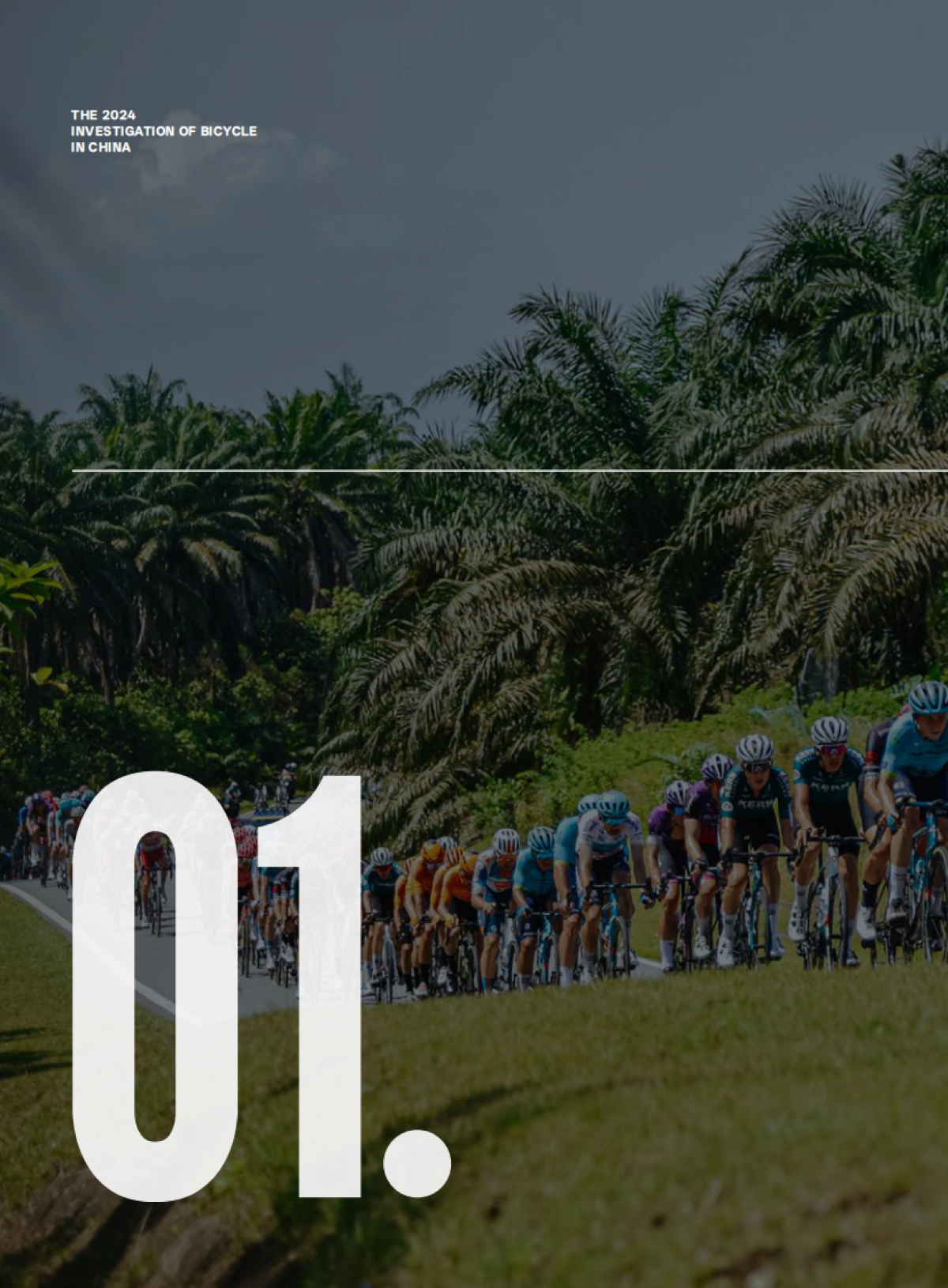 2024年中国自行车行业调查报告_第8页