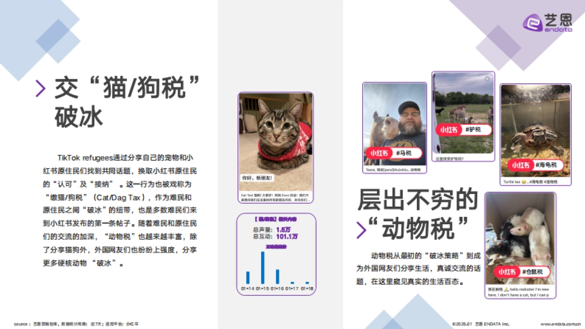 2025年TikTok用户转战小红书，跨越语言与文化的社交迁徙_第4页