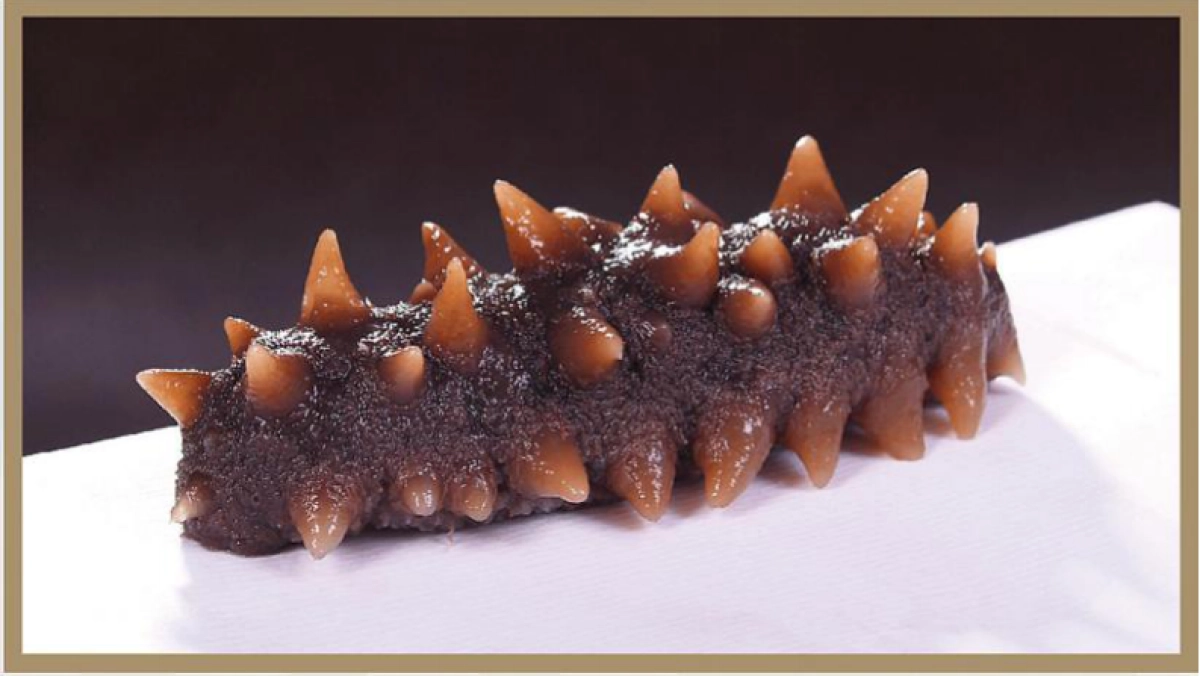 鲜食海参品牌单品包装设计策划案_第4页