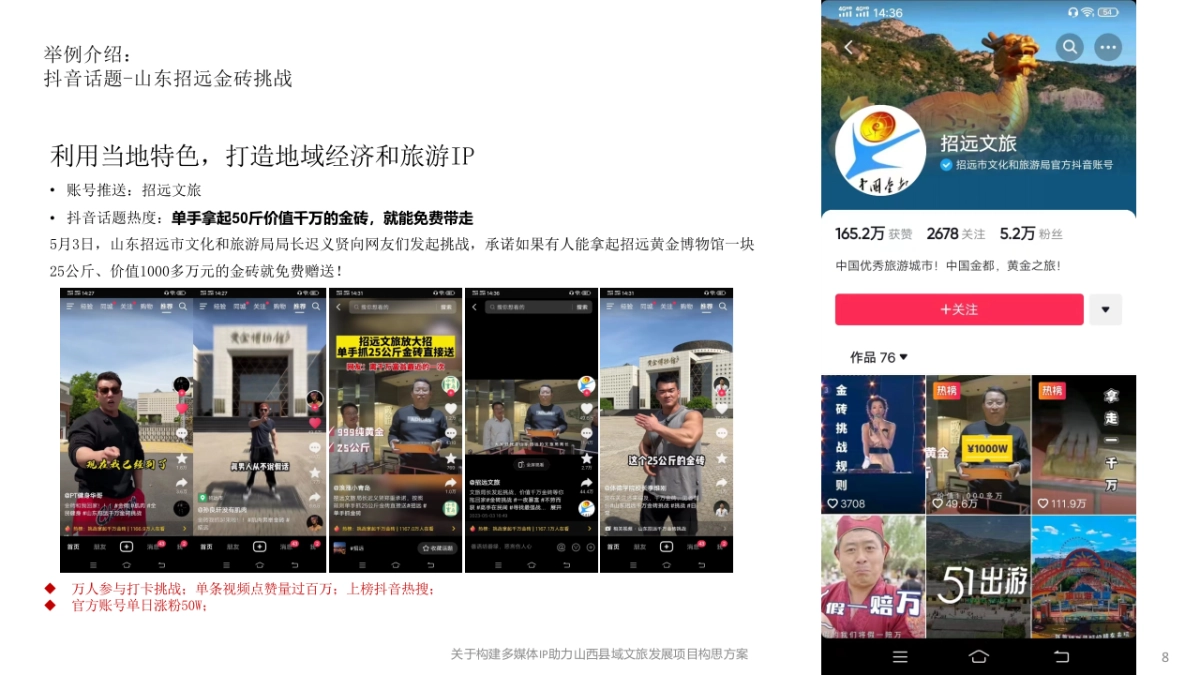 关于山西县域媒体宣传【抖播山西】项目构思_第8页