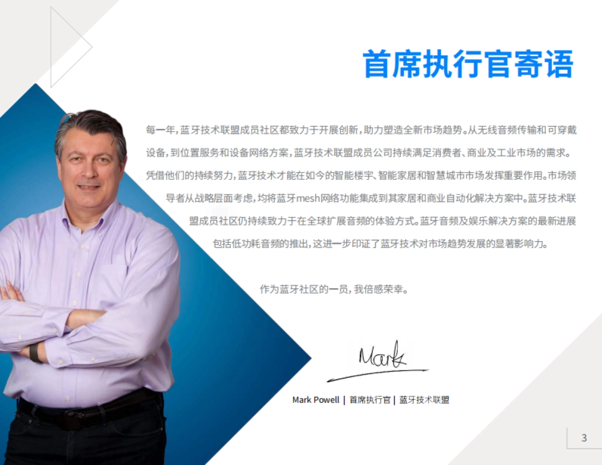 蓝牙市场最新资讯2020_第3页