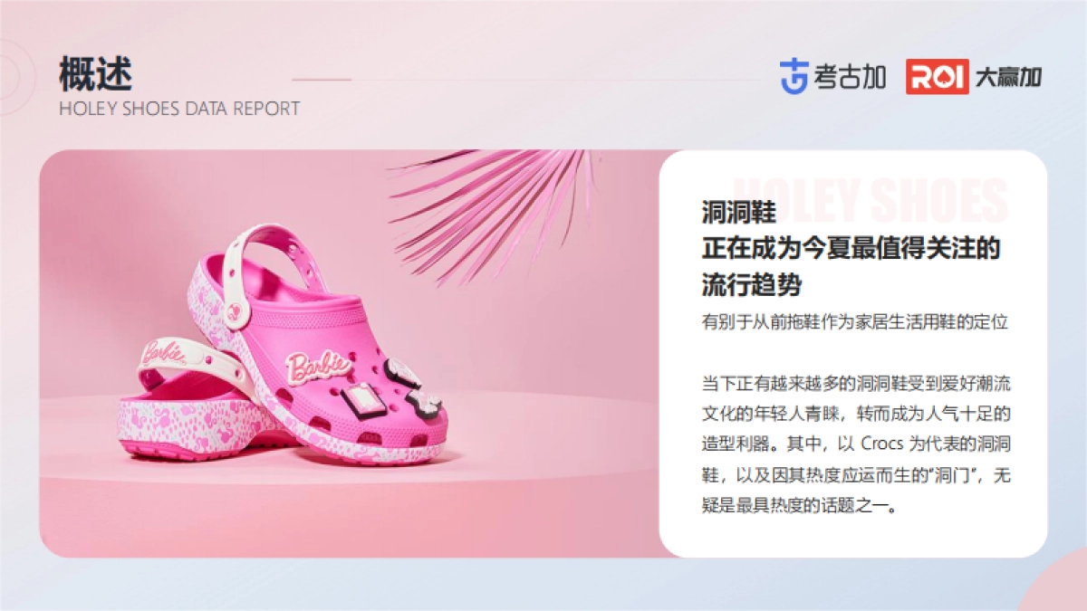考古加&大赢家：2023洞洞鞋营销观察数据报告_第5页