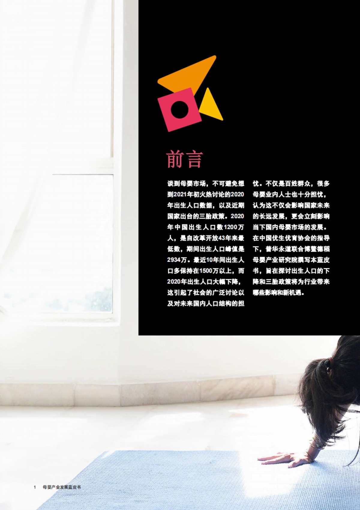 母婴产业发展蓝皮书_第2页