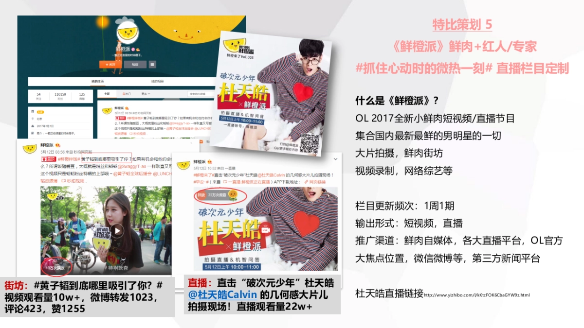 欧珀莱下半年方案 _第10页