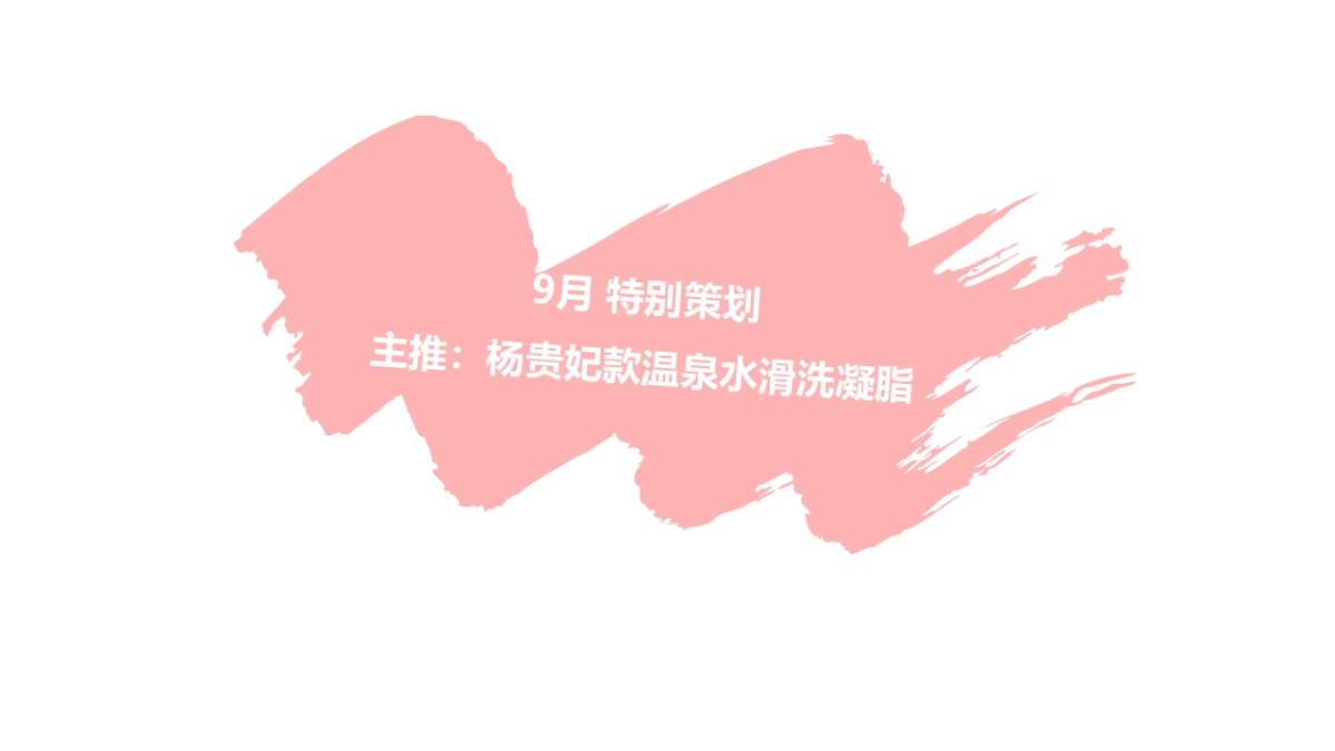 欧珀莱下半年方案 _第4页