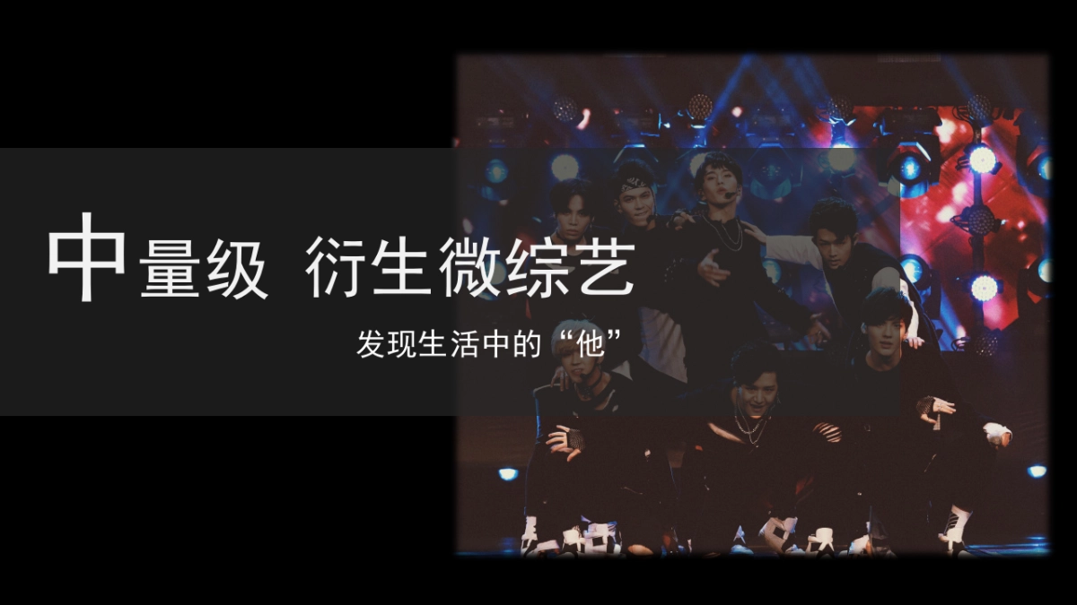 偶像衍生定制_第10页