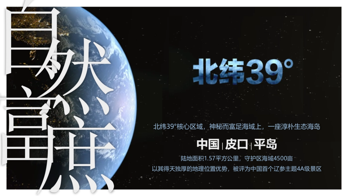 平岛-文旅项目内容规划及项目运营报告_第2页