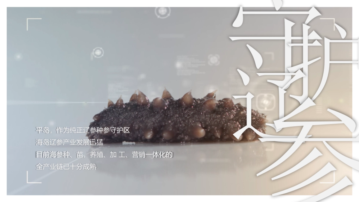 平岛-文旅项目内容规划及项目运营报告_第5页