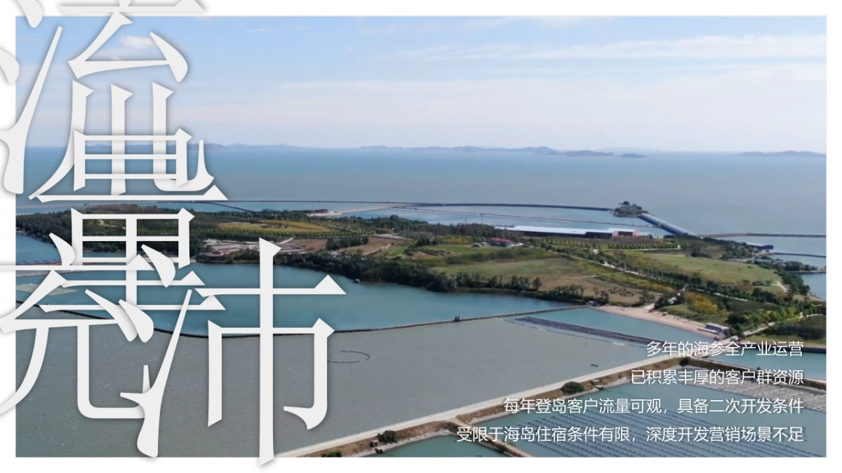 平岛-文旅项目内容规划及项目运营报告_第6页