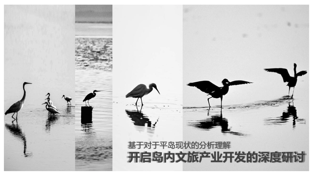 平岛-文旅项目内容规划及项目运营报告_第7页