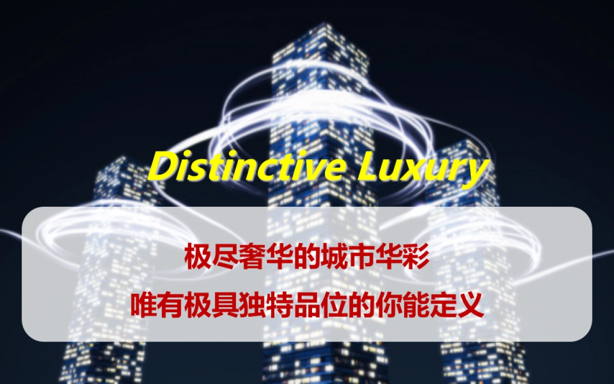 起亚高端campaign规划方案_第5页