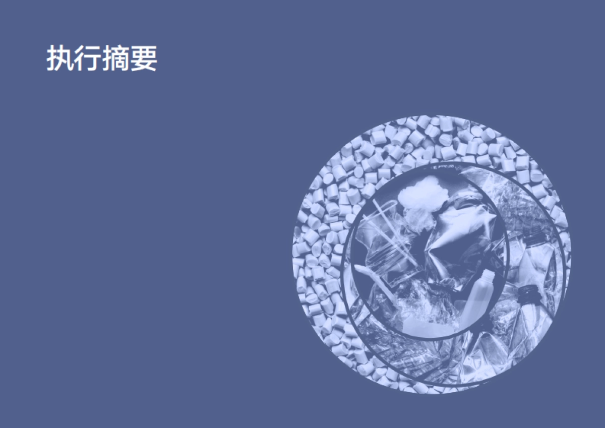 清华大学:中国塑料包装产业循环经济发展战略研究报告_第3页