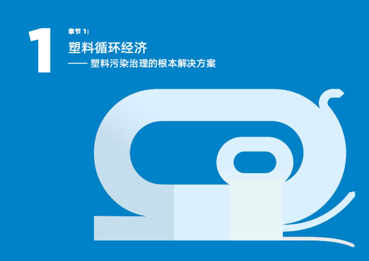 清华大学:中国塑料包装产业循环经济发展战略研究报告_第8页