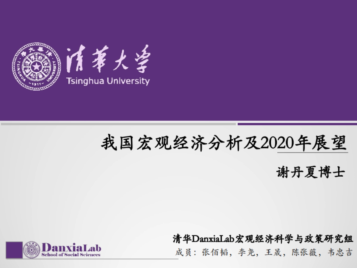 清华-我国宏观经济分析及2020年展望报告_第1页