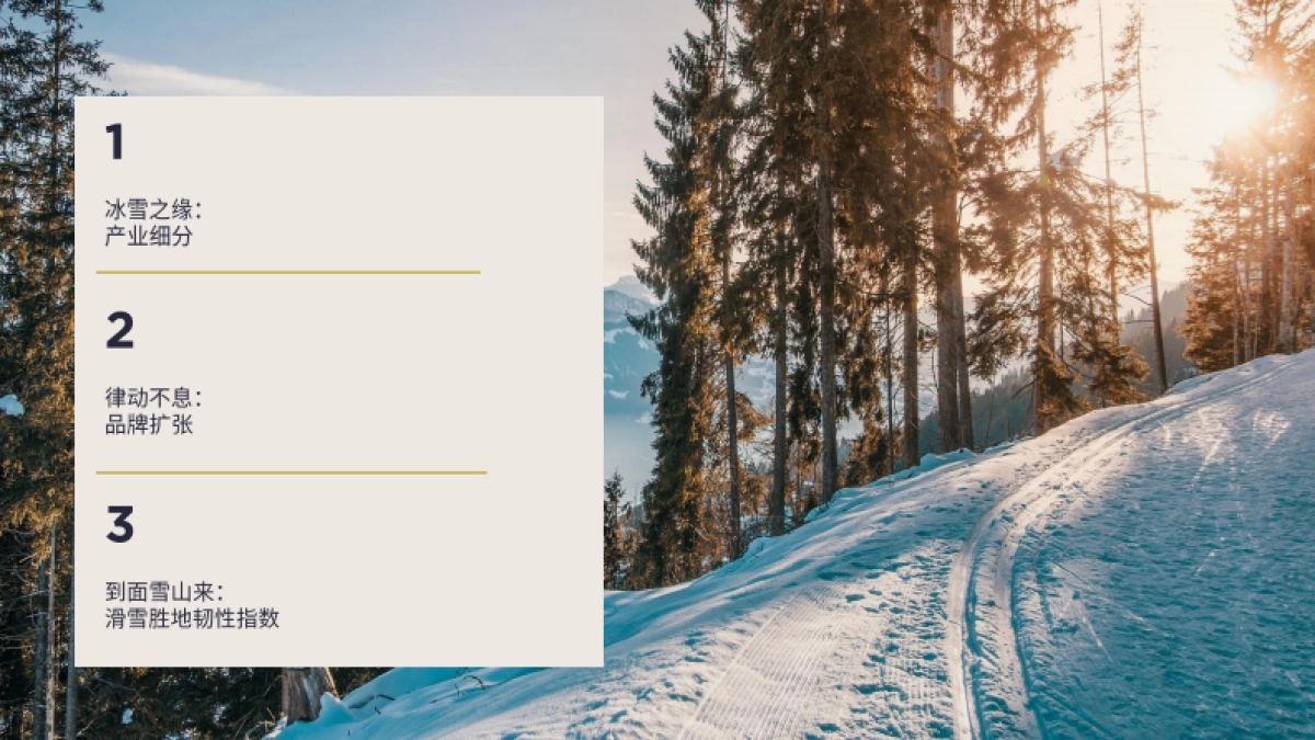 韧性冰雪-第一太平戴维斯-20页_第2页