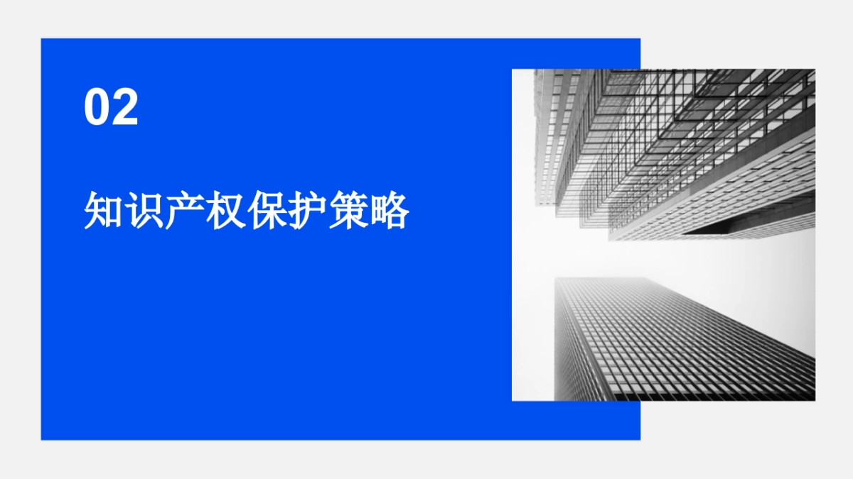 如何进行知识产权保护_第7页