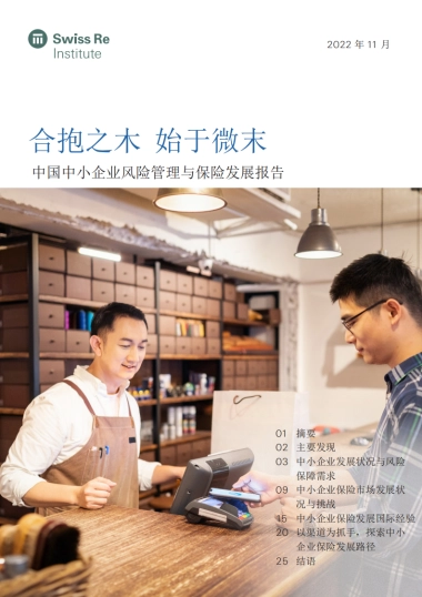 瑞士再保险：合抱之木 始于微末-中国中小企业风险管理与保险发展报告