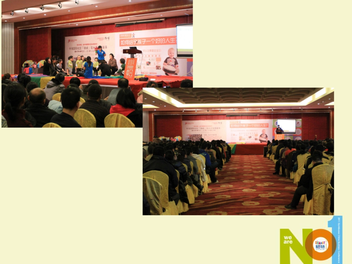 瑞思玛特异业联合方案_第10页